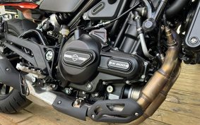 HARLEY X500 2024 W5B