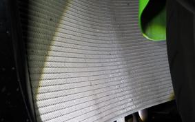 KAWASAKI NINJA ZX-6R A 2019 ZX636G