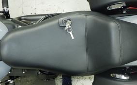 HARLEY FXLRST1920 2026