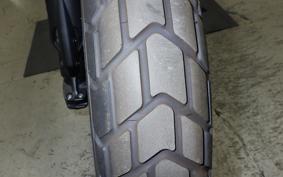 DUCATI SCRAMBLER ICON 2023
