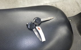 HONDA ZOOMER 2024 AF58