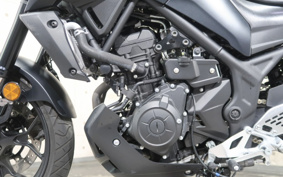 YAMAHA MT-25 RG74J