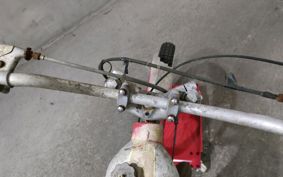 SUZUKI RL250 RL250