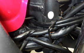 KAWASAKI NINJA 250 EX250L