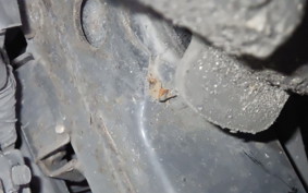 HONDA PCX 125 2019 JF56