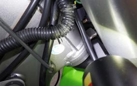 KAWASAKI KLX250 Gen.2 LX250S