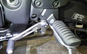 KAWASAKI NINJA 1000SX 2024 ZXT02K
