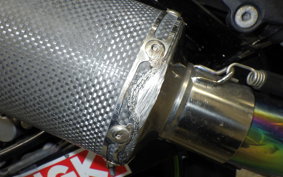 KAWASAKI NINJA 250R EX250K