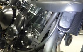 TRIUMPH STREET TRIPLE 2009