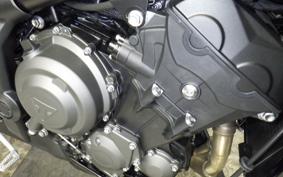 TRIUMPH TRIDENT 800 2026