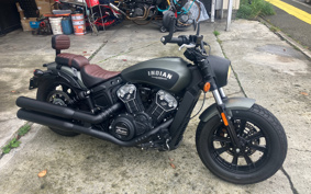 INDIAN Scout 2021