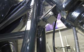 OTHER +UNREGISTERED MODEL by BDS1330 2026