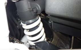 TRIUMPH TIGER 900 RALLY PRO 2022