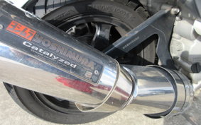 SUZUKI SKYWAVE 250S-1 CJ43A