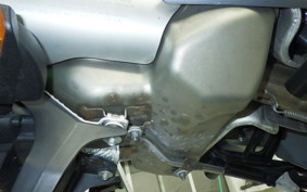 DUCATI MULTISTRADA 1000 DS 2024