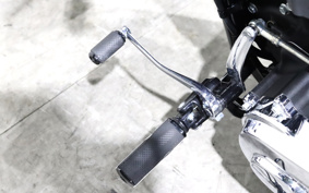 HARLEY FXBRS 2021 YHK