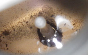 YAMAHA JOG Gen.4 2012 SA16J