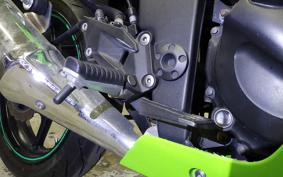 KAWASAKI NINJA 250R 2021 EX250K