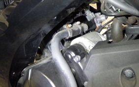KAWASAKI NINJA 250 2021 EX250L