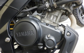 YAMAHA XSR155