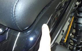 HARLEY RH975S 2024