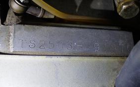 SUZUKI TS250