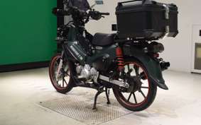 HONDA CROSS CUB 110 2009 JA60