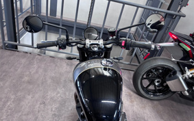 TRIUMPH SPEED TWIN 900 2025 DP0G21