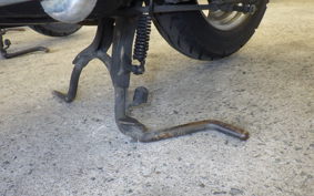 YAMAHA BJ 2013 SA24J