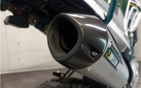 YAMAHA  SEROW 250 FINAL ED DG31J