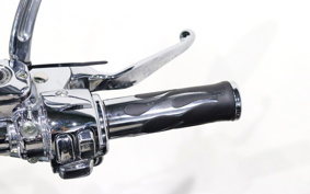 HARLEY FXDF 2009 GY4