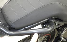 OTHER +ENFIELD ｽｸﾗﾑ411 2024