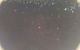 SUZUKI RG250 Gamma 2022 GJ21A