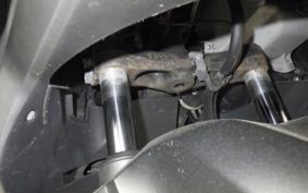 HONDA FORZA 250 2021 MF15
