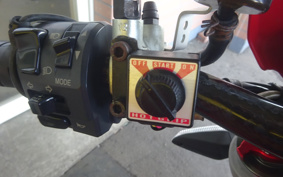 DUCATI MONSTAR 1100 2010 ZDMM502AA9B