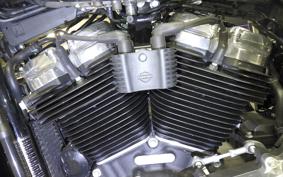 HARLEY FXST1750 2024