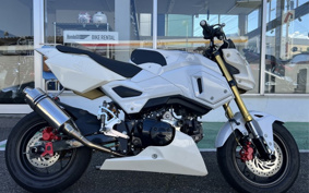 HONDA HRC GROM RACE BASE  CAR  JC61
