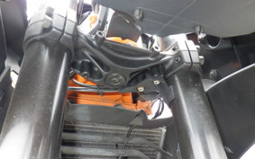 KTM 390 RC 2016