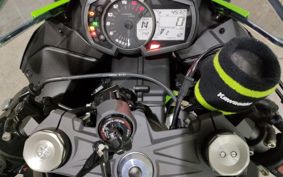 KAWASAKI NINJA ZX-6R ZX636G