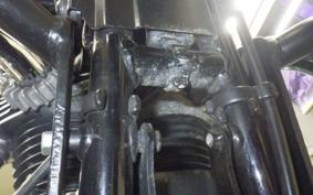 KAWASAKI W800 CAFE 2020 EJ800B