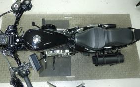 HARLEY XL1200XS 2019