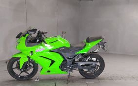 KAWASAKI NINJA250R EX250K