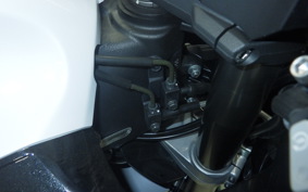 KAWASAKI ZX 1400 NINJA R A 2020