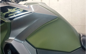 KAWASAKI VERSYS-X 250 LE250D