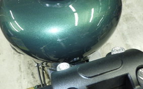 OTHER THUNDER250