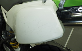 KAWASAKI KLX250 2022 LX250E