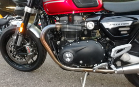 TRIUMPH  TRIUMPH  SPEED  TWIN  2023 DAD85H