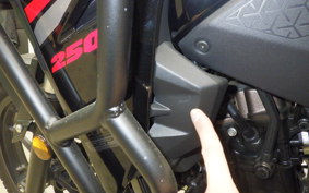 SUZUKI Vｽﾄﾛｰﾑ250SX EL11L