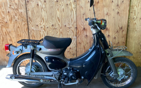 HONDA LITTLE CUB AA01