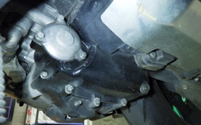 YAMAHA MAXAM 250 2024 SG21J